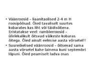 Roos avamaal ja katmikalal #17