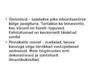 Roos avamaal ja katmikalal #18