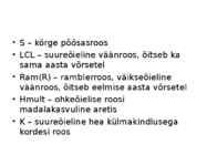 Roos avamaal ja katmikalal #22