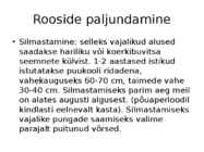 Roos avamaal ja katmikalal #26