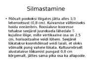 Roos avamaal ja katmikalal #27