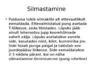 Roos avamaal ja katmikalal #28