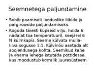Roos avamaal ja katmikalal #32