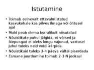 Roos avamaal ja katmikalal #36