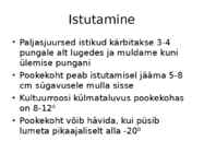 Roos avamaal ja katmikalal #37