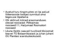 Roos avamaal ja katmikalal #5