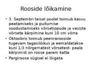Roos avamaal ja katmikalal #44