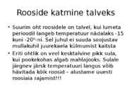 Roos avamaal ja katmikalal #47