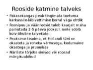 Roos avamaal ja katmikalal #50