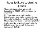 Roos avamaal ja katmikalal #6