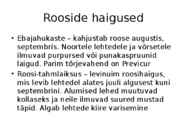 Roos avamaal ja katmikalal #53