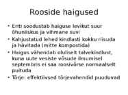 Roos avamaal ja katmikalal #54