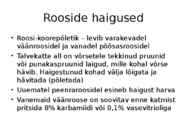 Roos avamaal ja katmikalal #56