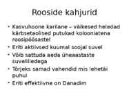 Roos avamaal ja katmikalal #58