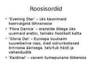 Roos avamaal ja katmikalal #62