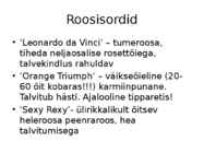 Roos avamaal ja katmikalal #65