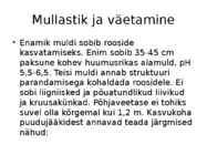 Roos avamaal ja katmikalal #67