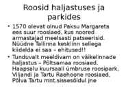Roos avamaal ja katmikalal #8