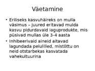 Roos avamaal ja katmikalal #72