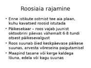 Roos avamaal ja katmikalal #73