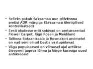 Roos avamaal ja katmikalal #10