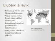 Vapsik #4