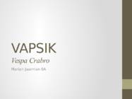 Vapsik