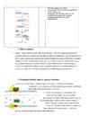 Biokeemia kordamisküsimused #9
