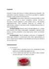 Magustoidud #5