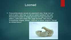 Külmakõrb #6
