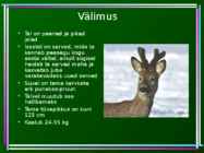 Metskits - Capreolus capreolus #3