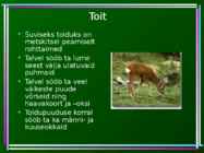 Metskits - Capreolus capreolus #5