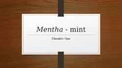 Mint-metha x piperita