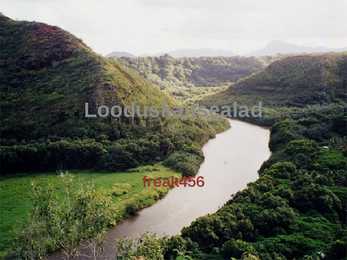 Laanemets pirita maailmalinnad looduskaitsealad #12