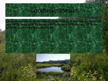 Laanemets pirita maailmalinnad looduskaitsealad #13