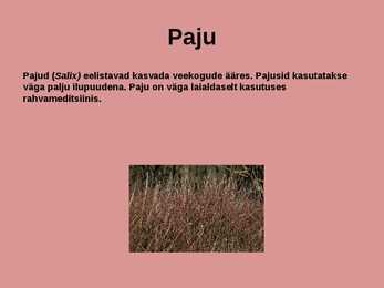 Laanemets pirita maailmalinnad looduskaitsealad #17