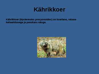 Laanemets pirita maailmalinnad looduskaitsealad #20