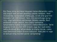 Raamatu vastamine-Mina olin siin #4