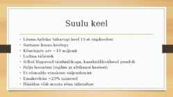 Lõuna-Aafrika Vabariik-Suulu keel #4