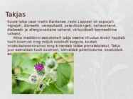 Ravimtaimed esitlus #7