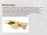 Ravimtaimed esitlus #8