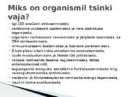 Tsink #4