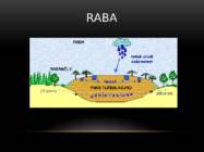 Raba #3