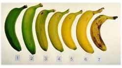 Banaan #5