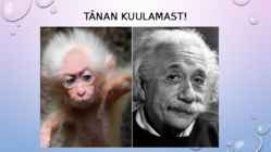 Albert Einstein #9