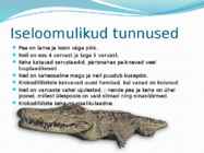 Krokodillid #2