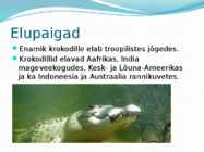Krokodillid #3