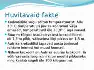 Krokodillid #8
