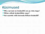 Krokodillid #9