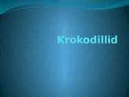 Krokodillid